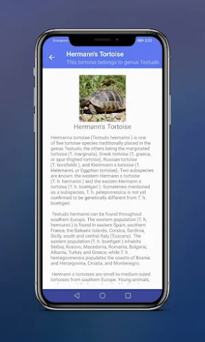 Turtle Magazine Screenshot 3