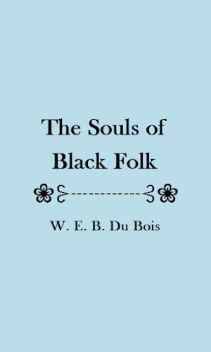 The Souls of Black Folk eBook Screenshot 1