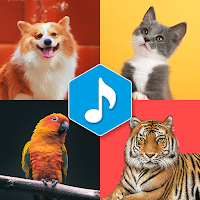 Animals and Birds Ringtones