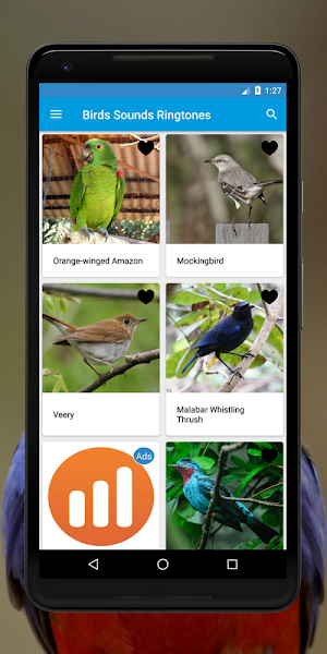 Birds Sounds and Info: Sounds Of Birds Screenshot 1