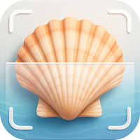 SeaShell Identifier