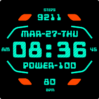 PORT Watch Face