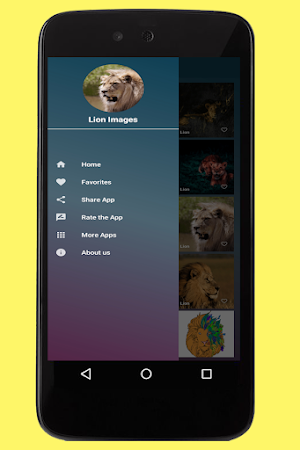 Lion Images Screenshot 0