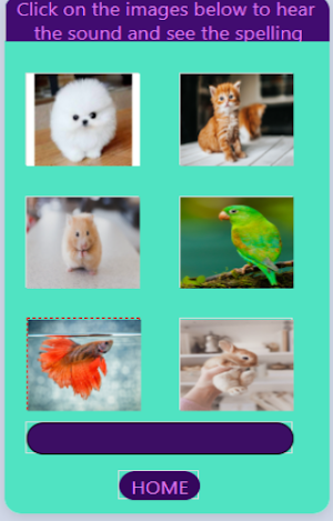 Fun with Spelling App Screenshot 3