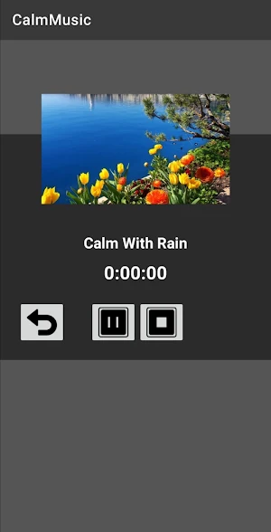 Calm Music Screenshot 3