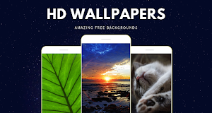 Wallpapers and backgrounds HD Screenshot 0