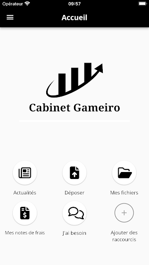 Cabinet Gameiro Screenshot 1