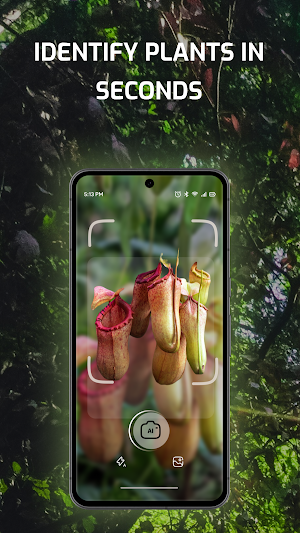 Plant Identification AI ID App Screenshot 3