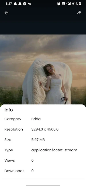 Foreign Bridal Photo Poses Screenshot 3