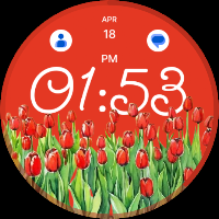 Tulip Floral Watch Face