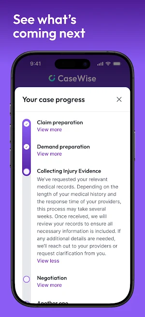 CaseWise Legal Screenshot 2