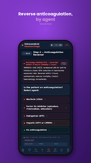 Intracerebral Haemorrhage Screenshot 3