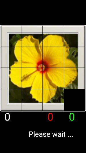Sliding Puzzles Screenshot 1