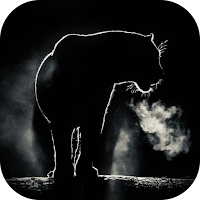 Dark Black Wallpaper HD