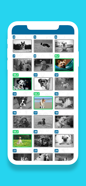 Guess the Dog Breeds Quiz Screenshot 1