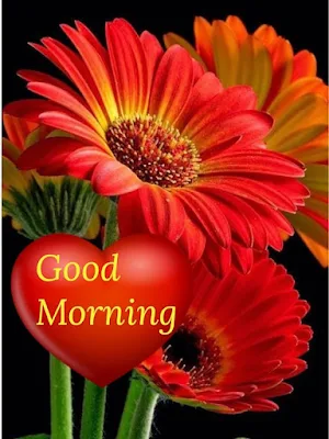 Good Morning Images Screenshot 1