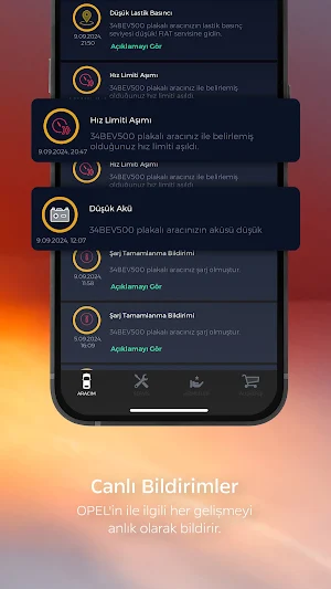 Opel Link Screenshot 3