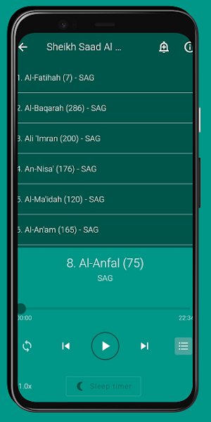 Quran MP3 Syekh Saad Al Ghamdi Screenshot 2