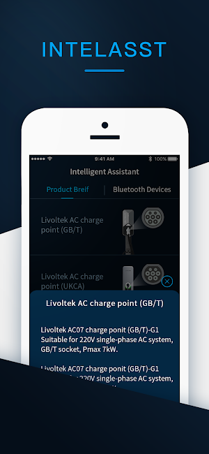IntelAsst. Screenshot 3