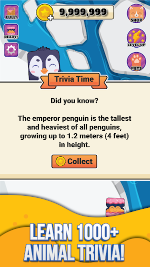 Pet Master: Merge and Trivia Screenshot 3