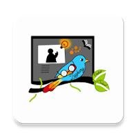 Zaghary Online School - Classera