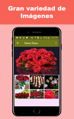 Flores y Rosas Rojas imágenes gratis Screenshot 0