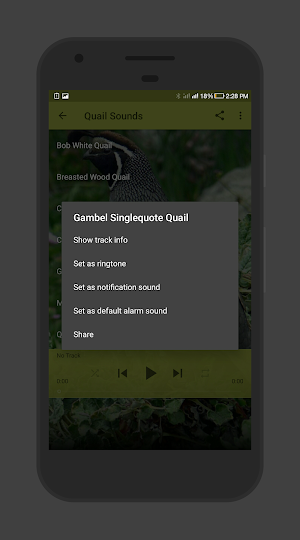 Quail Sounds Screenshot 2