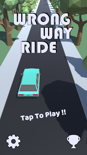 Wrong Way Ride Screenshot 0
