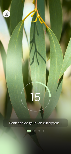 Smellow Screenshot 1