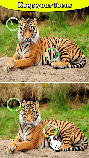 Spot Difference - Bird Puzzle Screenshot 0