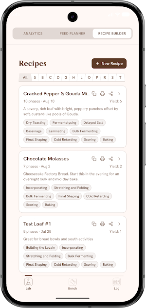 Sourdough Bread Lab Screenshot 3