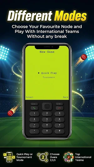OG Cricket Game -Retro 2D Game Screenshot 3