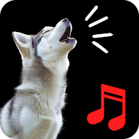 Dog Barking Sounds & Ringtone