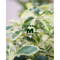 vivero mobile