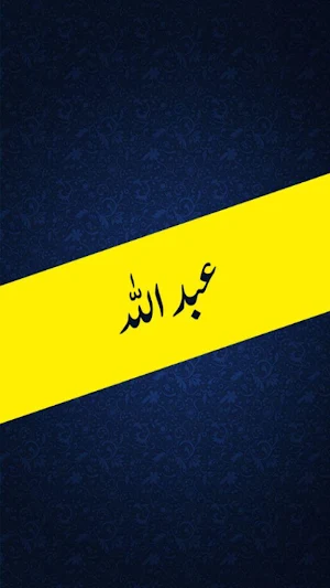 Abdullah Novel by Hashim Nadeem - Urdu Novel Screenshot 0