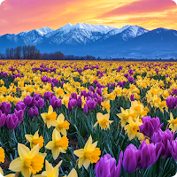 Garden Wallpapers