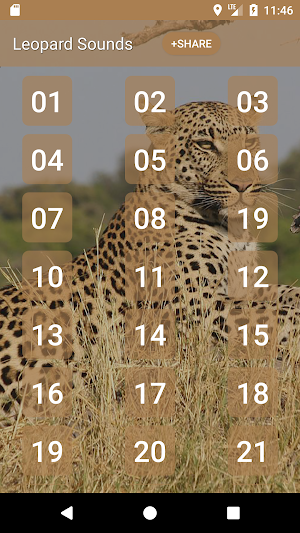 Leopard (Animal) Sounds Screenshot 0