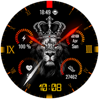 LION MFT WF 13
