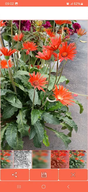 Album Image Screenshot 1