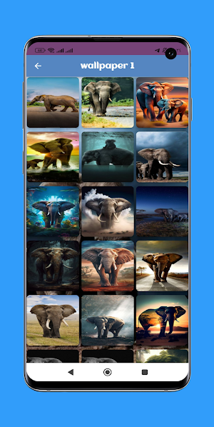 Elephant wallpaper HD Screenshot 1