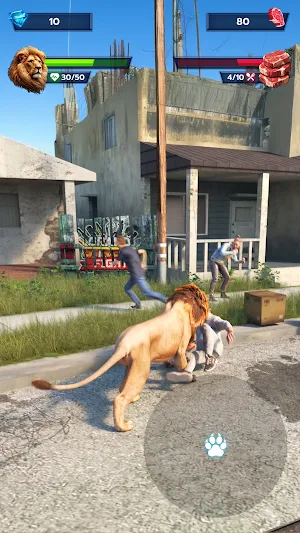 Lion Survival - Wild Beast Sim Screenshot 1