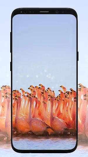 Flamingo Wallpaper Screenshot 1