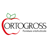 ORTOGROSS