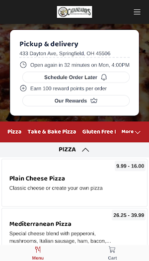Catanzaro Pizza and Subs Screenshot 1