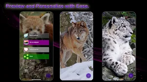 Animals of Wonder Screenshot 2