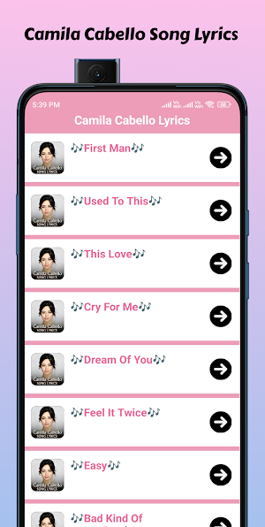 Camila Cabello Song Lyrics Screenshot 2