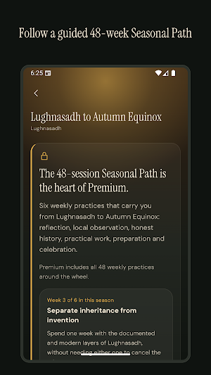 Wheel of the Year: Pagan Screenshot 2
