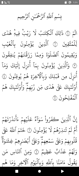 Islam Sobhi Quran offline Screenshot 2