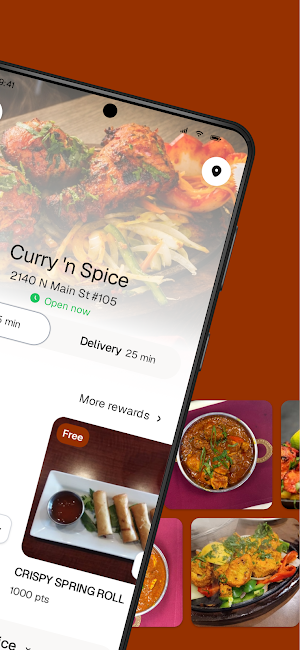 Curry 'n Spice Screenshot 1
