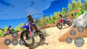 Motocross Dirt Bike Challenge Screenshot 3